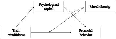 Prosocial behavior associated with trait mindfulness, psychological capital and moral identity among medical students: a moderated mediation model